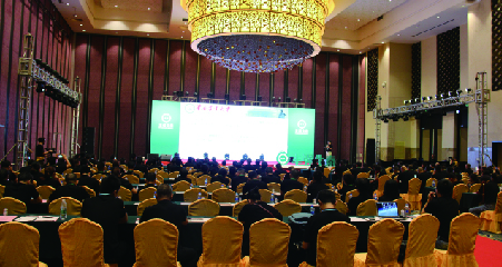 江蘇恒豐強藍青之夜活動